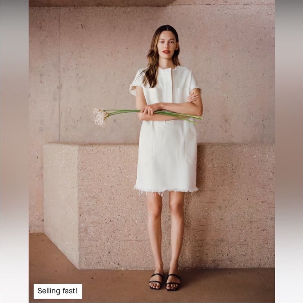 New Everlane The Denim Workwear Shirtdress  Frayed Hem in Bone Size XS